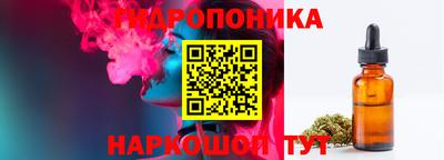 сатива Дубна