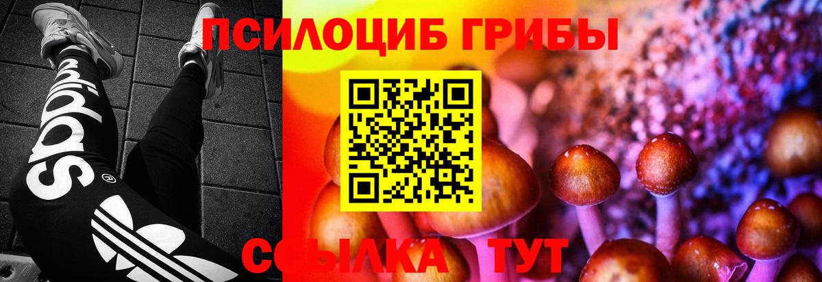 Мурино  Галлюциногенные грибы мухоморы  Вход с VPN 